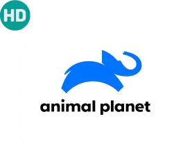 animal planet